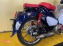 2-01 スーパーカブC125　JA48　カスタム